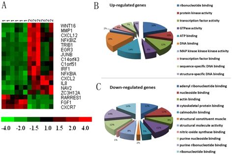 A Showed The Heatmap Plot Of Scaled Gene Expression Levels The First 6