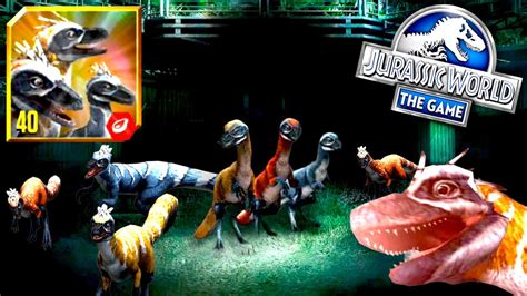 New Flock Sinosauropteryx Winter Season Pass Coming Info Sino Pvp Battles Jurassic World The