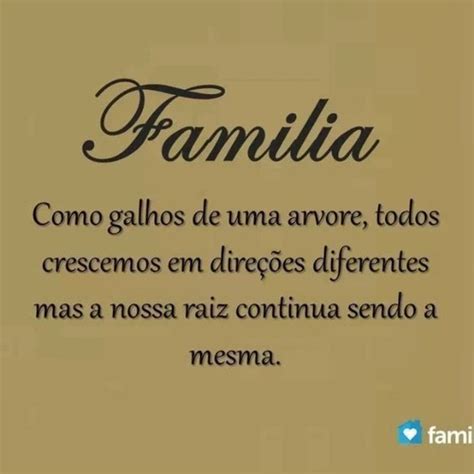 Frases do Facebook Família como galhos de uma árvore todos