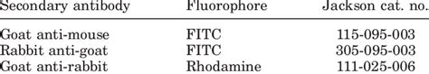 Details Of Secondary Antibodies Obtained From Jackson Immunoresearch