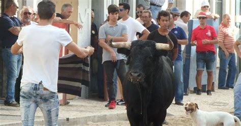 Festa Brava no Ribatejo Blog que leva a emoção da Festa Brava à tua