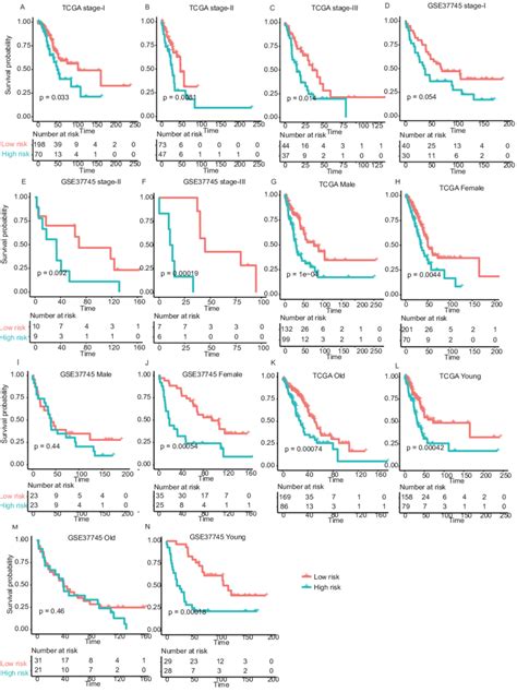 The Performance Of The Prognostic Model Within Tnm Stages Age And