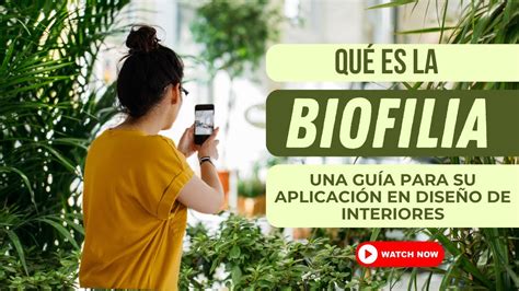 Qué es el Diseño Biofílico Una guía para aplicar la BIOFILIA en el