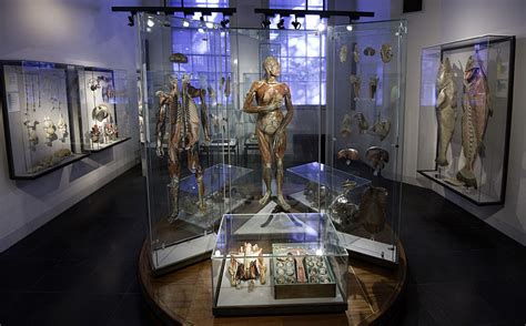 The Worlds 10 Most Fascinating Medical Museums