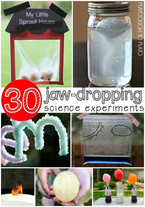 Growing Gummy Bear Science - Playdough To Plato