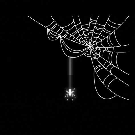 Halloween Spider Gifs Find Share On Giphy