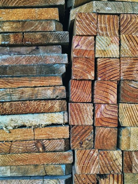 Wood Store Stock Photo Image Of Stick Wood Carpenter 261650100