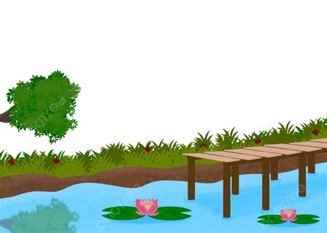 Water Lily Pond, Pond, Water, Lotus PNG Transparent Clipart Image and PSD File for Free Download