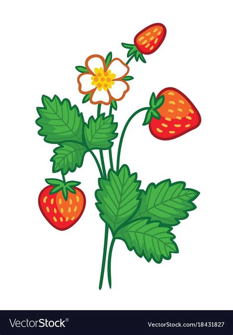 Strawberry Art Strawberry Plants Free Vector Images Vector Free