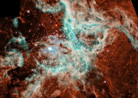 Tarantula nebula's star-filled web