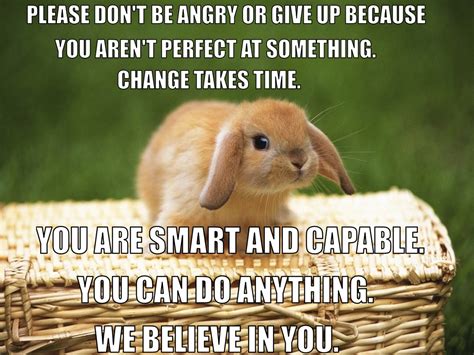 Bunny Motivational Quotes Quotesgram