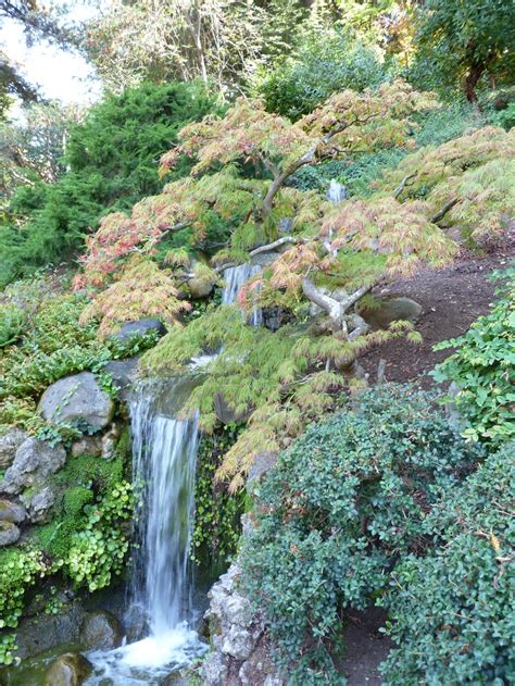 Saratoga California Japanese Garden Saratoga California Botanical