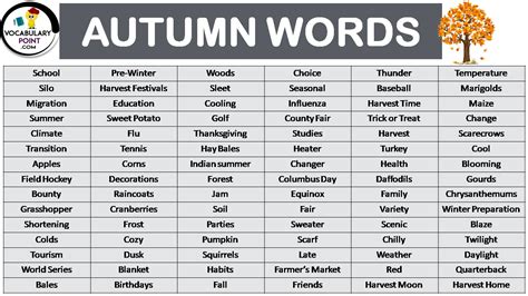 List Of Beautiful Autumn Words Vocabulary Point