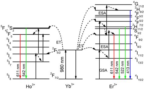 Simplified Energy Level Diagram For Ho³⁺ Er³⁺ Yb³⁺ Ions In Gd2o3