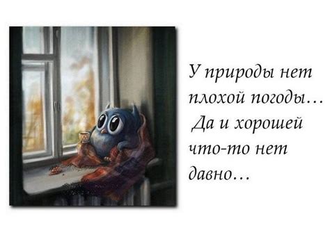 Различные статусы на картинках
