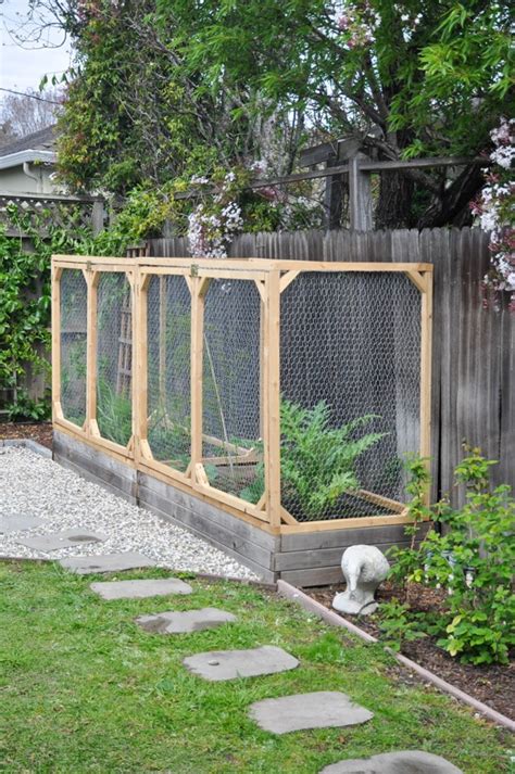 How To Keep Squirrels Out Of A Raised Garden Bed Fasci Garden