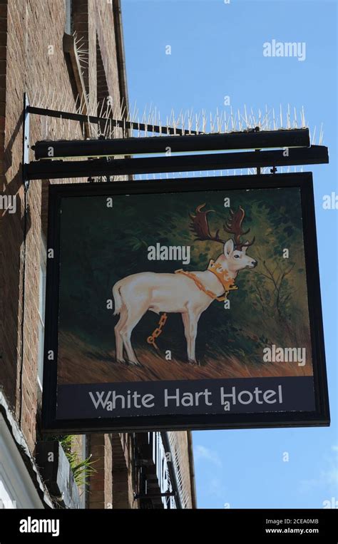 White Hart Hotel Sign Newmarket Suffoldk Stock Photo Alamy