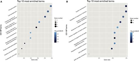 Gene Ontology Go Biological Processes Of The Intersection Sub‐network Download Scientific