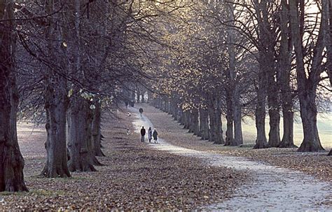 Rothamsted Park | Rothamsted, Green Harpenden | Harpenden History