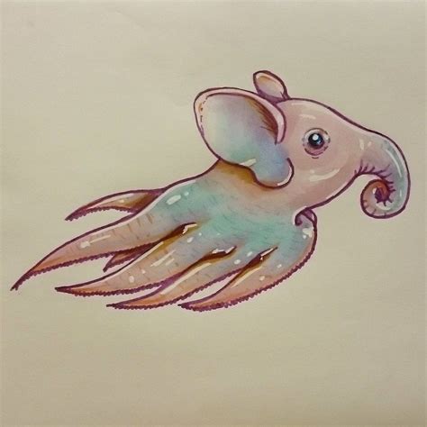 Dumbo Octopus Drawing