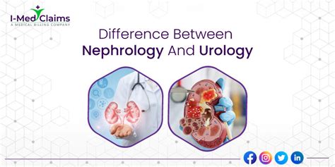 Difference Between Nephrology And Urology I Med Claims