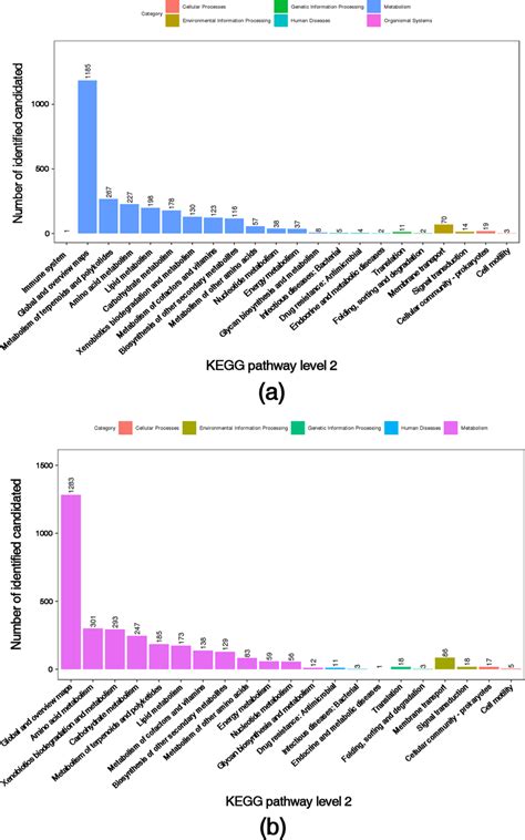 Kegg Pathway Classification Metabolites Detected And Annotated Note