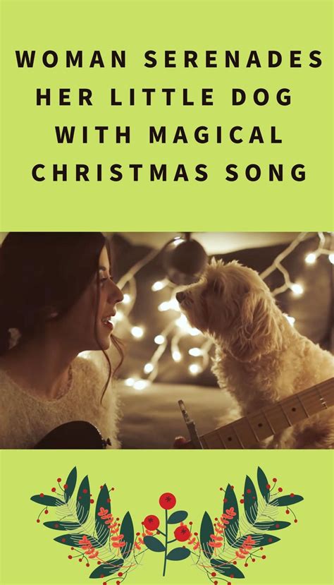 Woman Serenades Her Little Dog With Magical Christmas Song Home Hacks