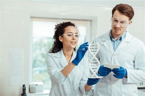 Professional Nice Smart Scientists Studying Human Genome Stock Photo