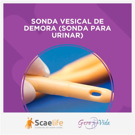 Blog Da Gigi Sonda Vesical De Demora Sonda Para Urinar