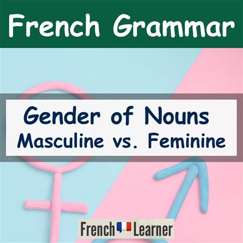 French Gender Of Nouns Frenchlearner Grammar Lessons