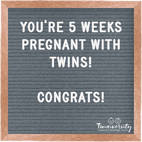 5 Weeks Pregnant With Twins Twiniversity 1 Parenting Twins Site