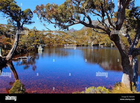 Cradle Mountain Hiking Stock Photo - Alamy