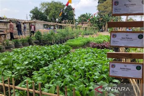 Pengadaan Lahan Pertanian Di Luar Daerah Dinas Pertanian Dan Pangan