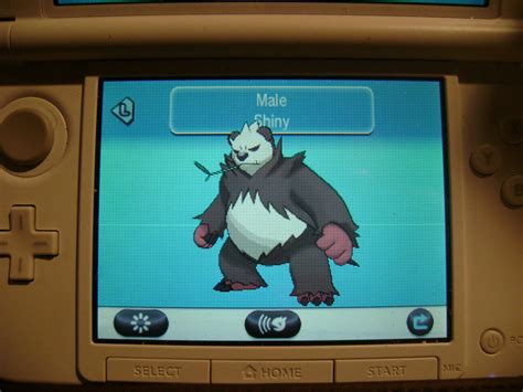 Shiny Pangoro by lazrwolf66 on DeviantArt