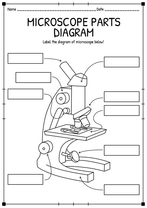 Microscope Parts And Use Worksheet