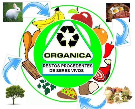 Qu Es La Basura Org Nica Tipos Recogida Diferencias