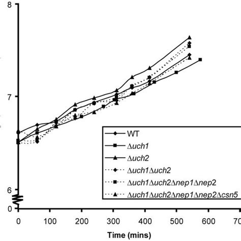 Growth Curves Of Wild Type Wt And Mutant Strains All Mutant Strains