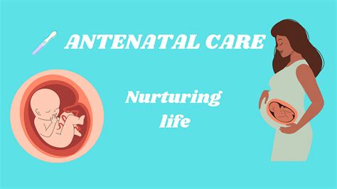 Prenatal Care Nurturing Health From Conception To Birth By Glory