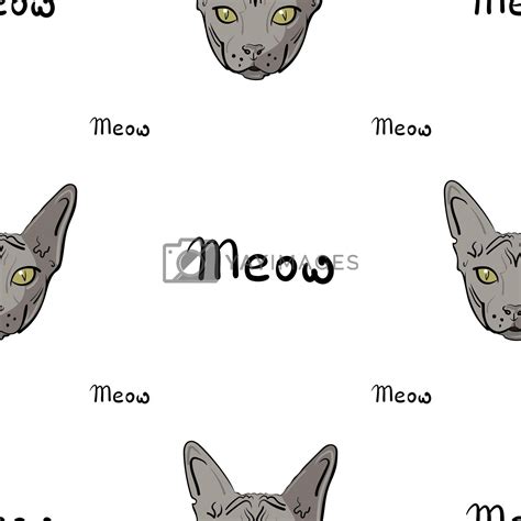 White seamless pattern with a gray Sphynx cat and the lettering Meow