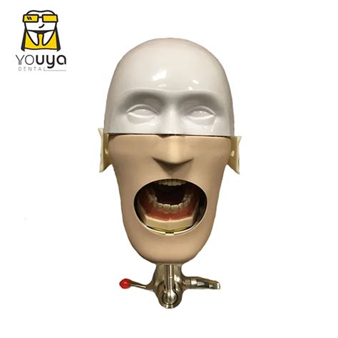 Simple Dental Education Manikins Phantom Head Model With Mask Dental