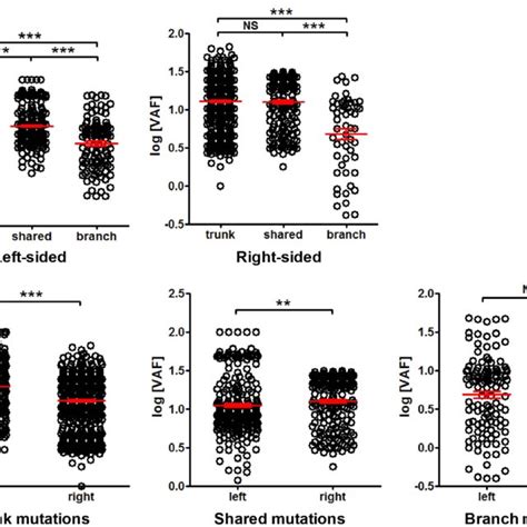 The Variant Allele Frequency VAF For Trunk Shared And Branch