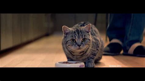 Whiskas Film Advert By BBDO: Big cat little cat | Ads of the World™