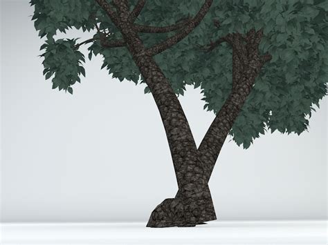 Juniper Tree Bark 3D Model - TurboSquid 1317259