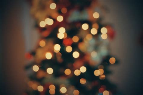 Christmas Tree Bokeh Free Photo On Pixabay