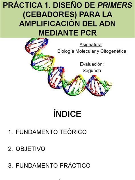 Diseño De Primers Pdf Primer Biología Molecular Reacción En Cadena De La Polimerasa