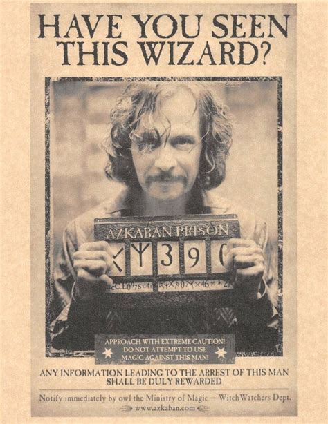 Have You Seen This Wizard Poster Template