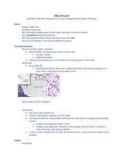 Lab Histology Docx Biol Lab Lymphatic Digestive Respiratory