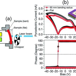 A The Pyroelectric Hysteresis Loop Measurement Setup B The