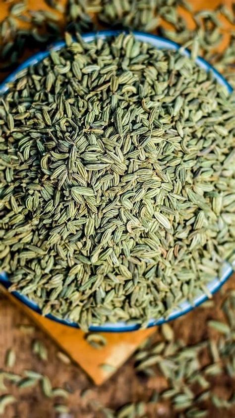 Organic Dried Fennel Seed At Rs Kg In Kolkata Id