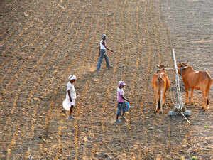 Kharif Sowing Begins As Monsoon Finally Hits North Central India The